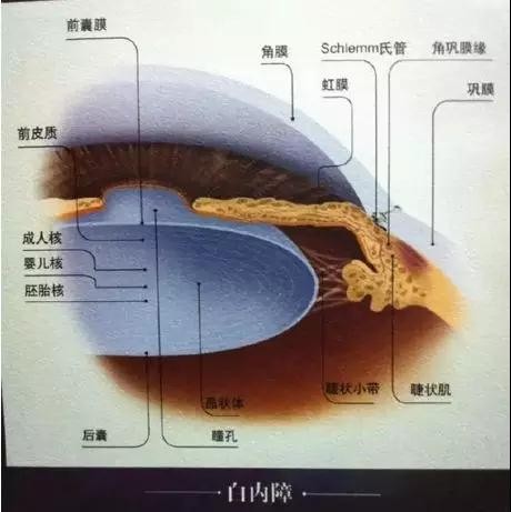 微信图片_20180525110033.jpg